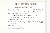 石胡荽、吐金草藏品圖，第2張