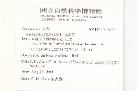 霍香薊藏品圖，第2張