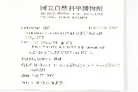 田代氏澤蘭藏品圖，第2張