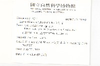 兔仔菜藏品圖，第2張