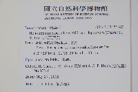 伏毛天芹菜藏品圖，第2張