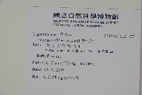 冇骨消藏品圖，第2張