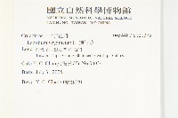 獨行菜藏品圖，第2張