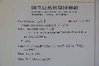 高山莢迷藏品圖，第2張