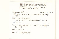 一枝黃花藏品圖，第2張