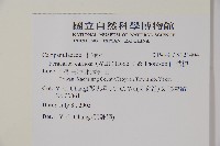 山桔梗藏品圖，第2張