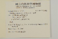 巫山繁縷藏品圖，第2張