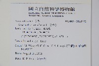 反枝莧藏品圖，第2張