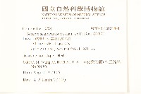 蔓黃菀藏品圖，第2張