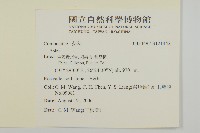 登錄號:S121442藏品圖，第2張