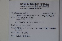 黃褐毛忍冬藏品圖，第2張