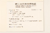 飛蓬藏品圖，第2張