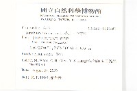 蒼耳、羊帶來藏品圖，第2張