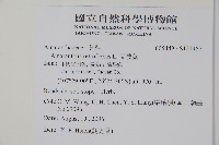 反枝莧藏品圖，第2張