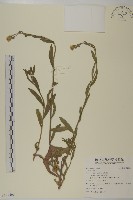 登錄號:S121463藏品圖，第1張