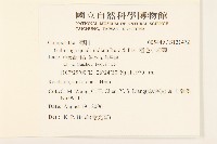 粗毛小米菊藏品圖，第2張