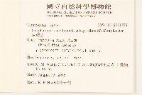 鼠麴草藏品圖，第2張