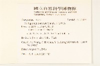 齒葉橐吾藏品圖，第2張