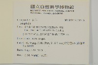 登錄號:S121516藏品圖，第2張