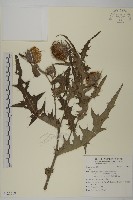 登錄號:S121518藏品圖，第1張