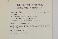 登錄號:S121518藏品圖，第2張