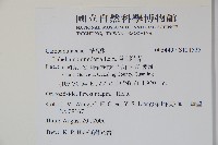 普刺特草藏品圖，第2張