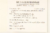 鼠麴草藏品圖，第2張