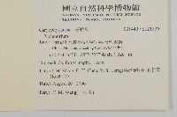 登錄號:S121536藏品圖，第2張