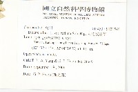 大花咸豐草藏品圖，第2張