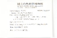 海牽牛藏品圖，第2張