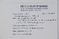 蘭嶼山柑藏品圖，第2張