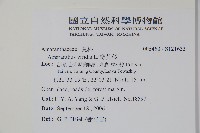 野莧菜藏品圖，第2張