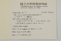 日本賽衛矛、日本假衛矛藏品圖，第2張