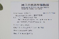 蘭嶼念珠藤藏品圖，第2張