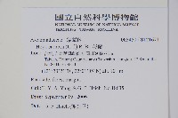 毬蘭藏品圖，第2張