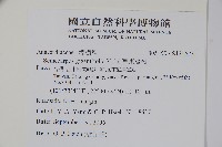 臺東漆樹藏品圖，第2張