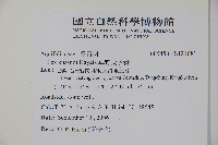 草野氏冬青藏品圖，第2張