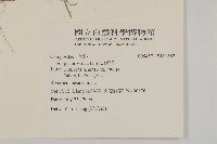 鱧腸藏品圖，第2張