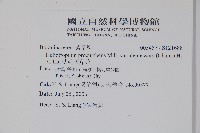 伏毛天芹菜藏品圖，第2張