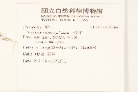 一枝香藏品圖，第2張