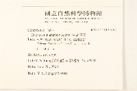 腺葉澤蘭藏品圖，第2張