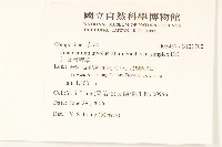 細葉鼠麴草藏品圖，第2張