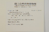 太魯閣艾藏品圖，第2張