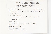 台灣筷子芥藏品圖，第2張