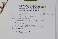 臺灣藤漆藏品圖，第2張