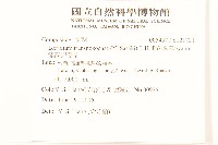 能高刀傷草藏品圖，第2張