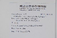 匙葉蓮子草藏品圖，第2張