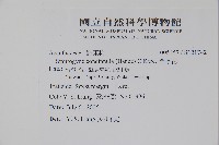 哈哼花藏品圖，第2張