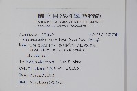 針刺草藏品圖，第2張