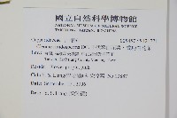 平伏莖白花菜、成功白花菜藏品圖，第2張